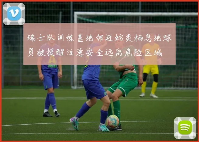 瑞士队训练基地邻近蛇类栖息地球员被提醒注意安全远离危险区域